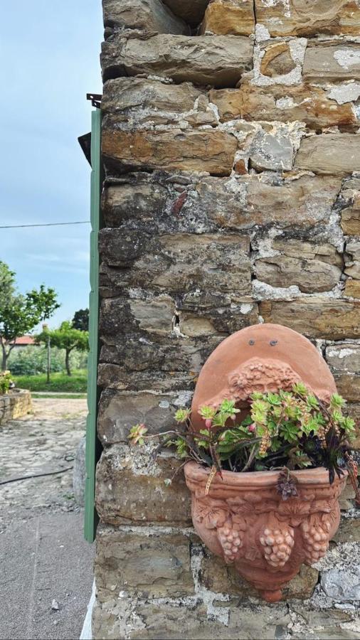Istrian Green House Portorož Exterior foto